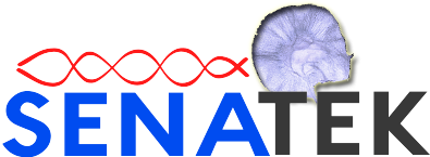 Senatek Sdn Bhd